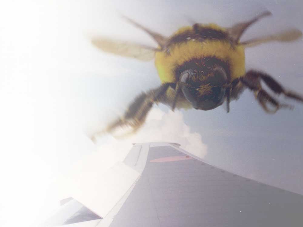 Photoshop Design by robertmorgan22 for DesignCrowd (Community Contests) | Design #9102906