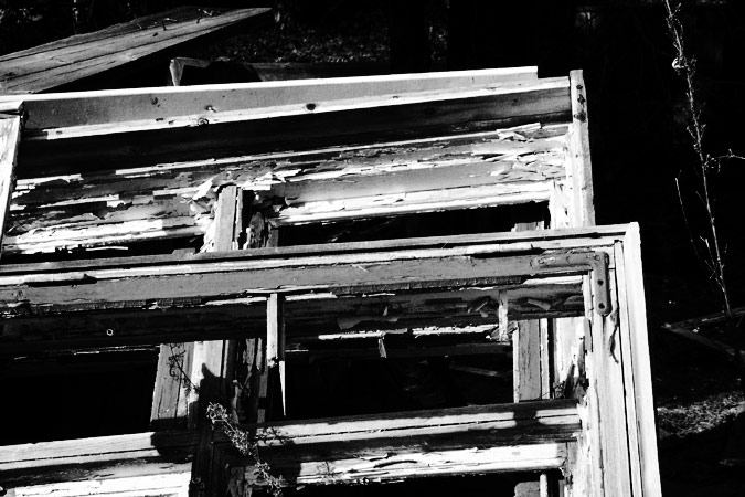 Photography by MrPumpernickel for DesignCrowd (Community Contests) | Design #9102613