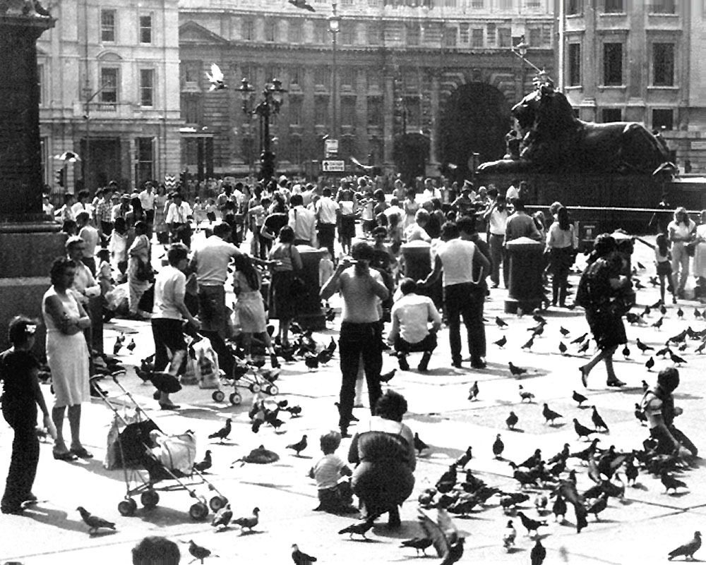 Fotografie von lahgon für DesignCrowd (Community Contests) | Design #9097514