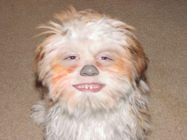 Photoshop-Design von rancorpit für DesignCrowd (Community Contests) | Design #9101834