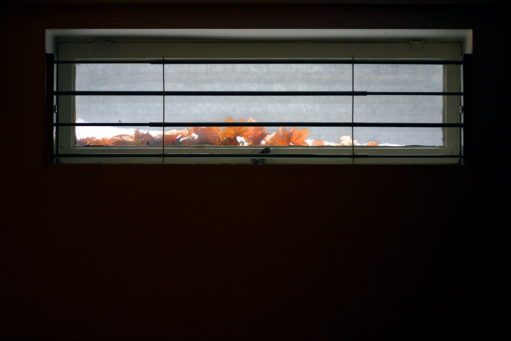 Fotografie von SigloV für DesignCrowd (Community Contests) | Design #9102643