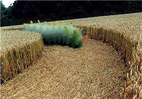 Photoshop Design by Alicat1194 for DesignCrowd (Community Contests) | Design #9102872