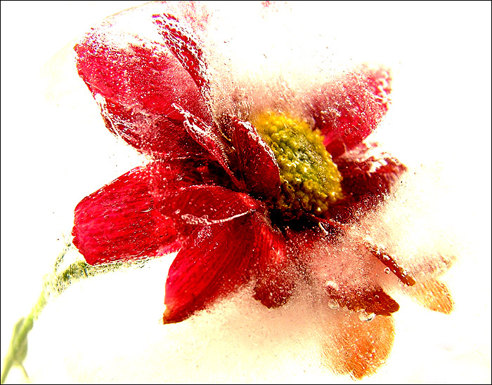 Fotografie von FastLane für DesignCrowd (Community Contests) | Design #9102301