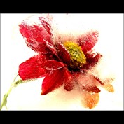 Photography by FastLane