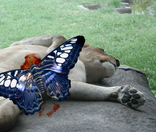 Photoshop Design by DenBurt for DesignCrowd (Community Contests) | Design #9102900