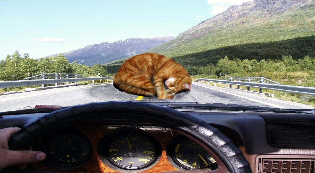 Photoshop Design by Usurper for DesignCrowd (Community Contests) | Design #9102933