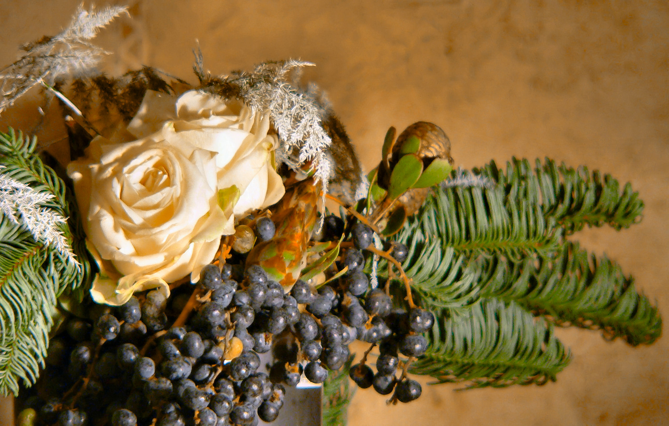 Photography by TonioRoffo for DesignCrowd (Community Contests) | Design #9102308