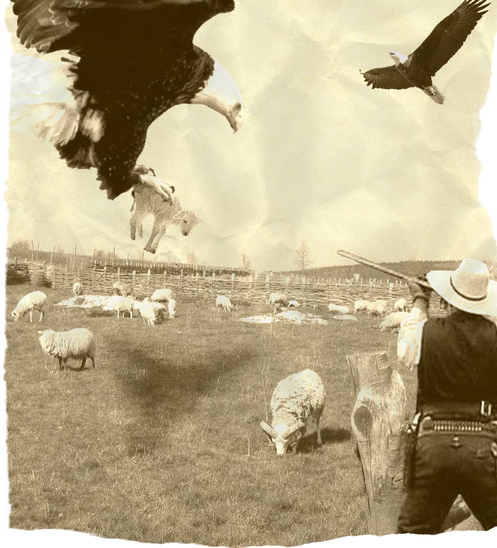 Photoshop Design by gerace for DesignCrowd (Community Contests) | Design #9102974