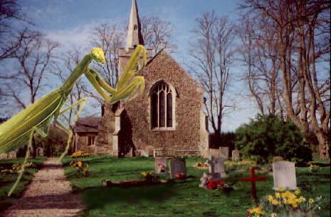 Photoshop-Design von Egoalie für DesignCrowd (Community Contests) | Design #9103014