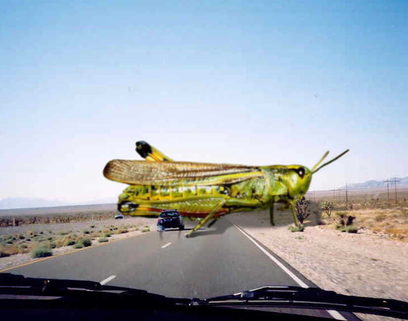 Design Photoshop par motorhead pour DesignCrowd (Community Contests) | Design #9102948