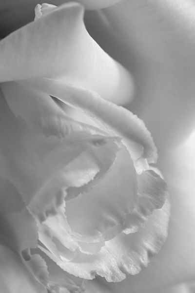 Photography by glaurent for DesignCrowd (Community Contests) | Design #9102327