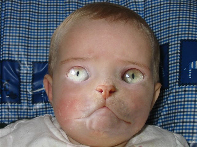 Diseño de Photoshop por Garsaelon para DesignCrowd (Community Contests) | Diseño #9101845