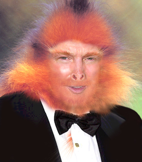 Photoshop Design by cameon for DesignCrowd (Community Contests) | Design #9101863