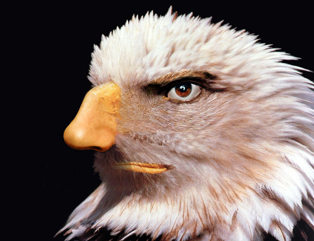 Design Photoshop par yeahright pour DesignCrowd (Community Contests) | Design #9101887