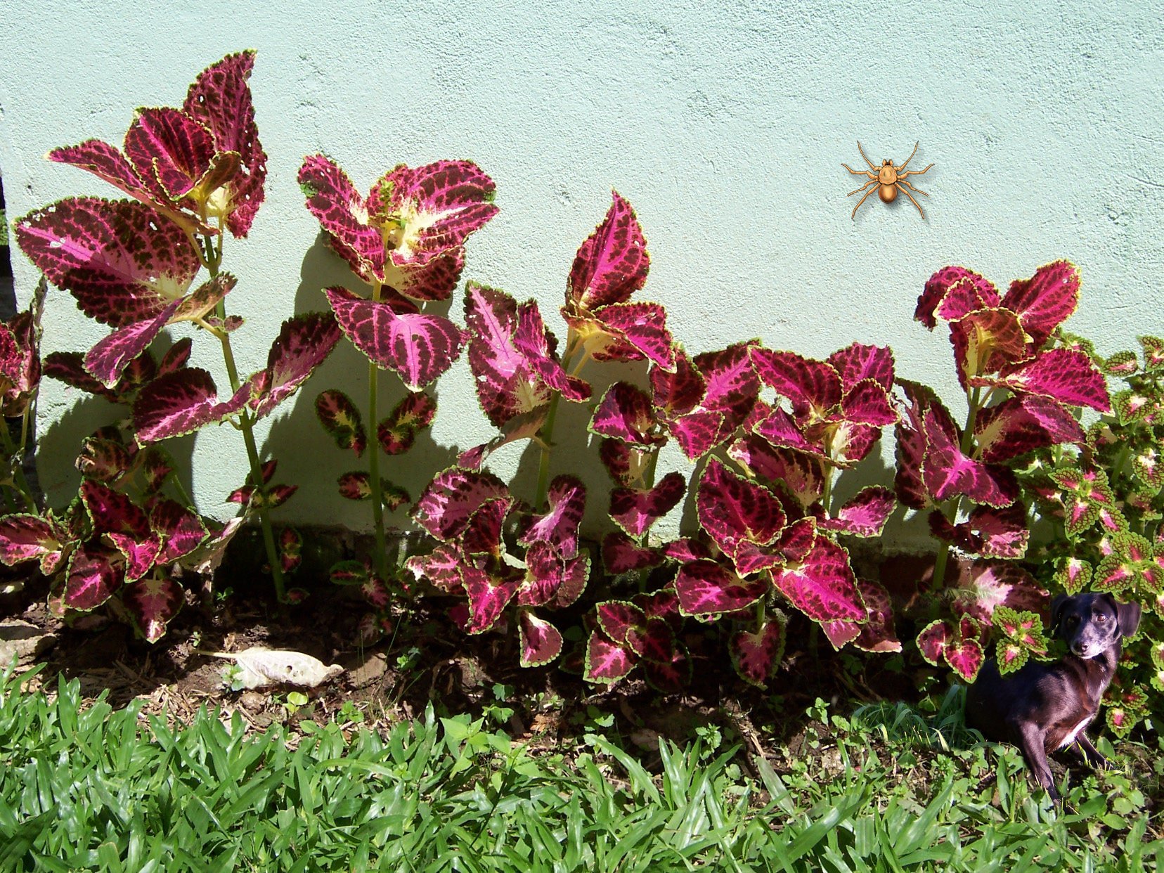 Photoshop-Design von yavannilde für DesignCrowd (Community Contests) | Design #9102964