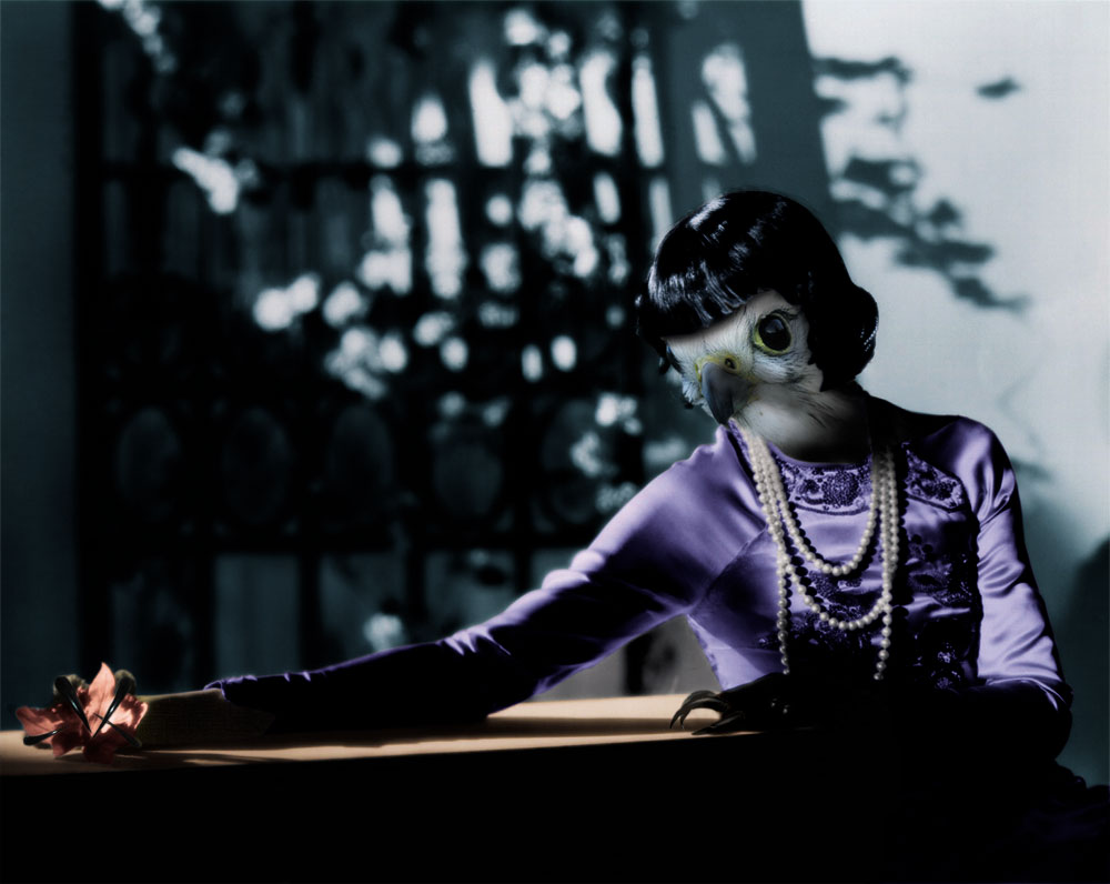 Photoshop-Design von Pelican für DesignCrowd (Community Contests) | Design #9101913