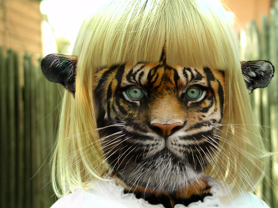 Photoshop Design by mayfae for DesignCrowd (Community Contests) | Design #9101915