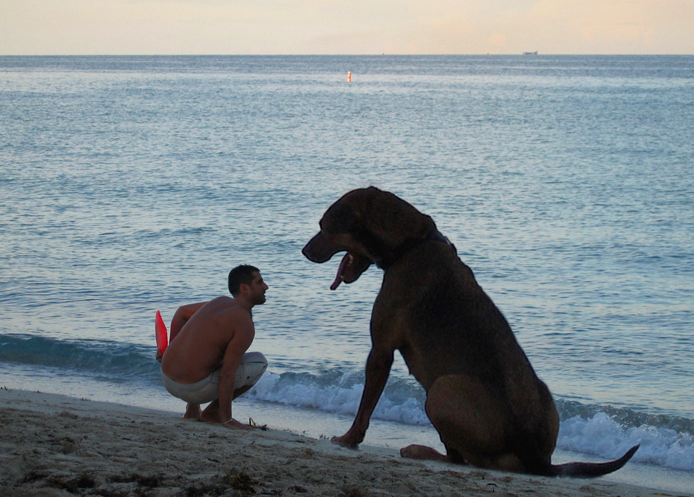 Photoshop Design by mayfae for DesignCrowd (Community Contests) | Design #9102937