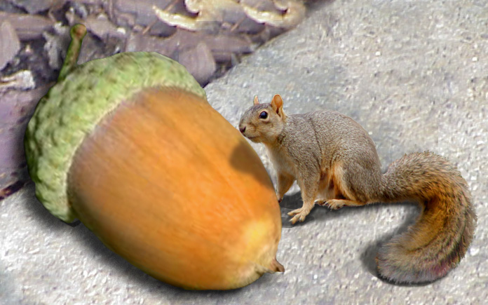 Diseño de Photoshop por arttrainer para DesignCrowd (Community Contests) | Diseño #9102945