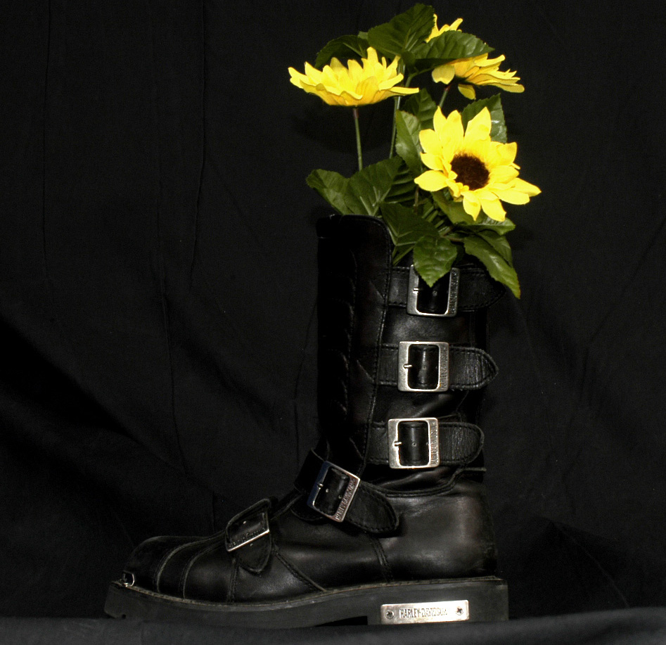 Photography by gremlenhunter for DesignCrowd (Community Contests) | Design #9102331