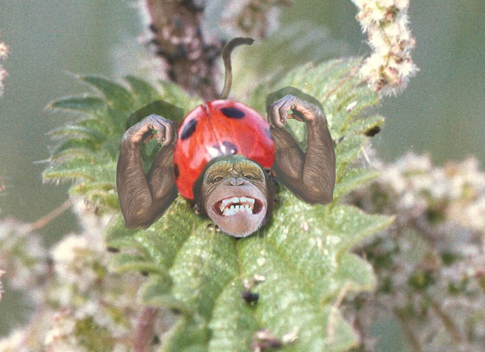 Photoshop-Design von dave100 für DesignCrowd (Community Contests) | Design #9089296