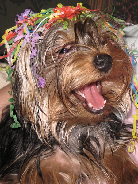 Photographie par Alnath pour DesignCrowd (Community Contests) | Design #9101123