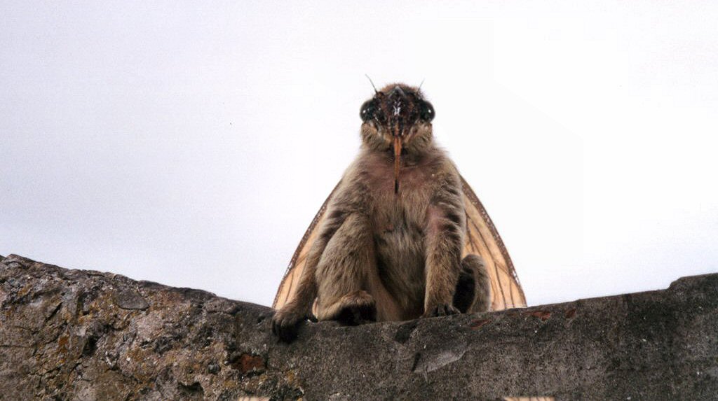 Design Photoshop par srt19170 pour DesignCrowd (Community Contests) | Design #9089302