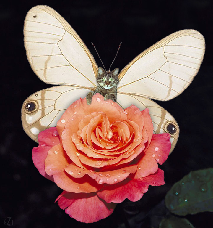 Photoshop Design by godzillatemple for DesignCrowd (Community Contests) | Design #9089324