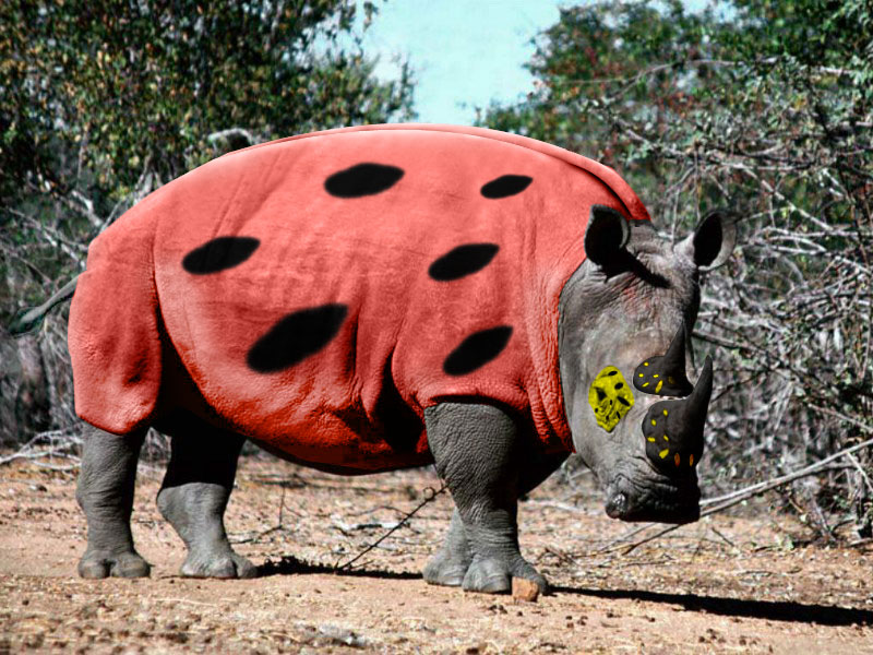 Photoshop Design by iwillenshofer for DesignCrowd (Community Contests) | Design #9089329