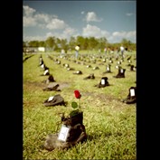 Photography by thesecretsharer