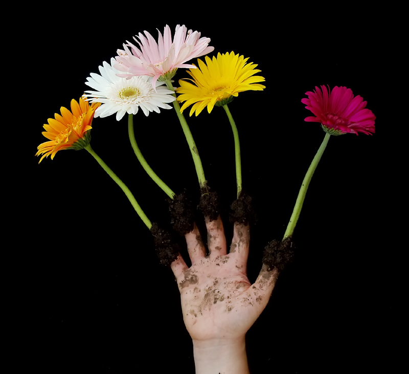 Fotografía por 1Mast1 para DesignCrowd (Community Contests) | Diseño #9102376