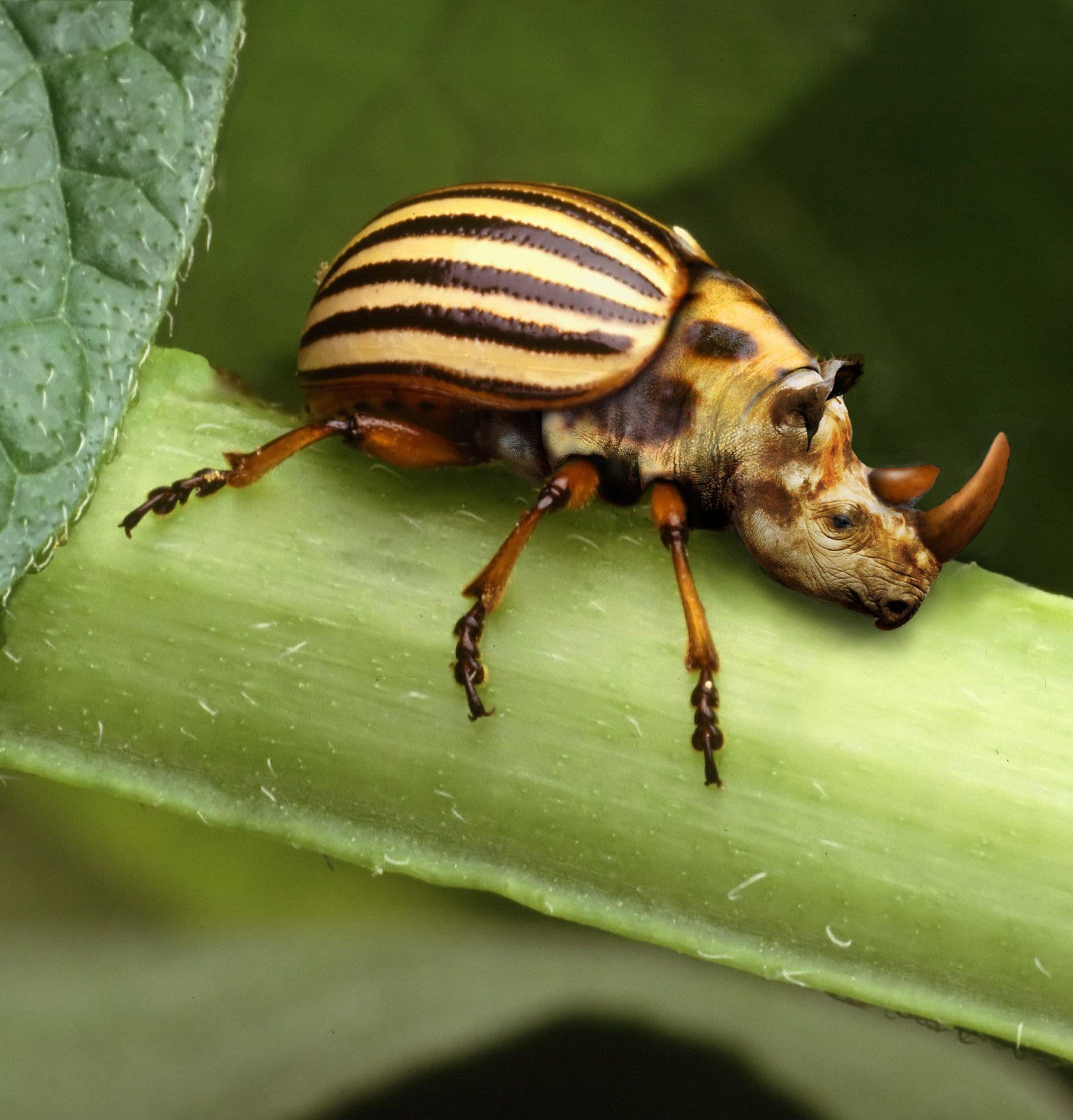 Photoshop-Design von Penbender für DesignCrowd (Community Contests) | Design #9089367