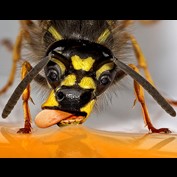 Photoshop Design by sylver