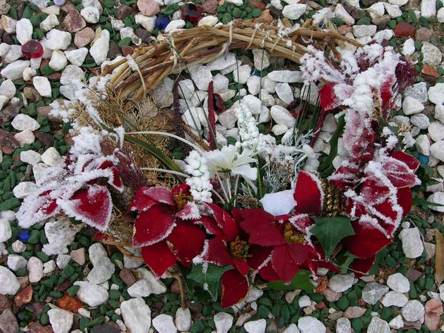 Fotografía por PINKPEPPER para DesignCrowd (Community Contests) | Diseño #9097574