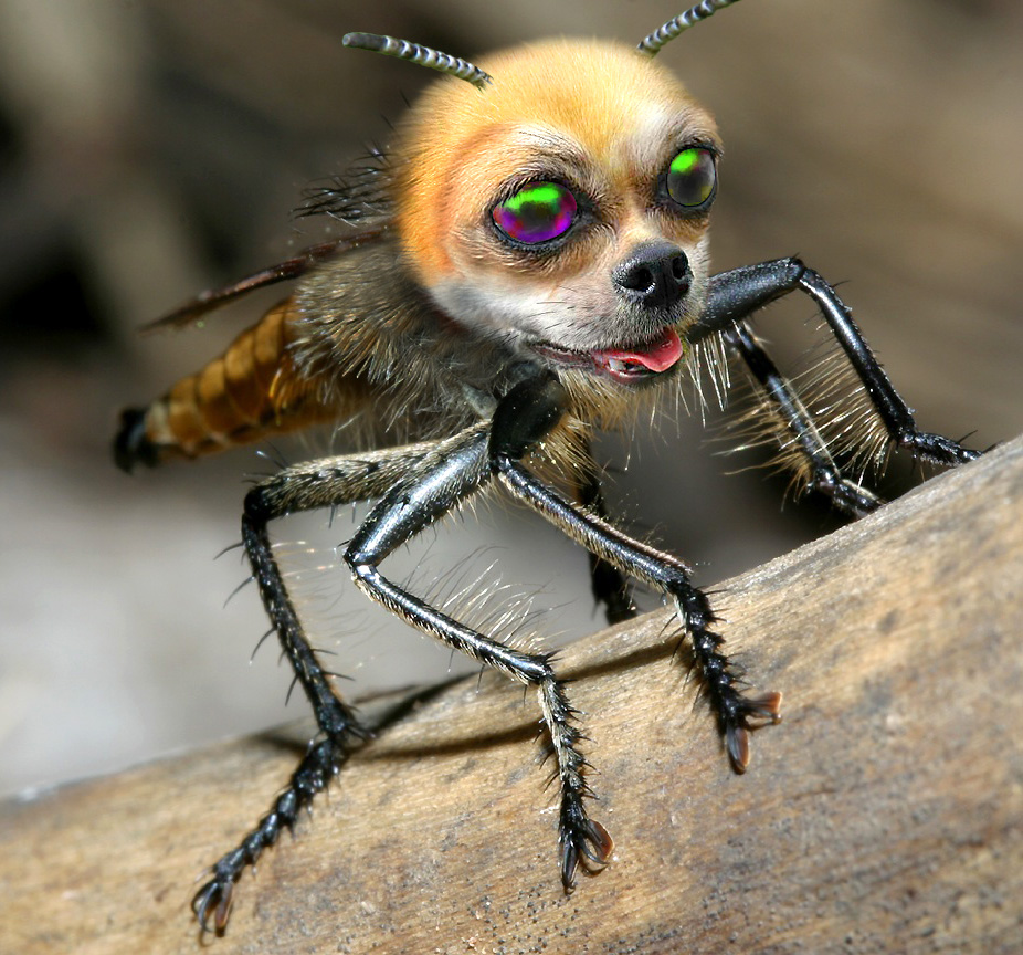 Photoshop Design by digammo for DesignCrowd (Community Contests) | Design #9089502