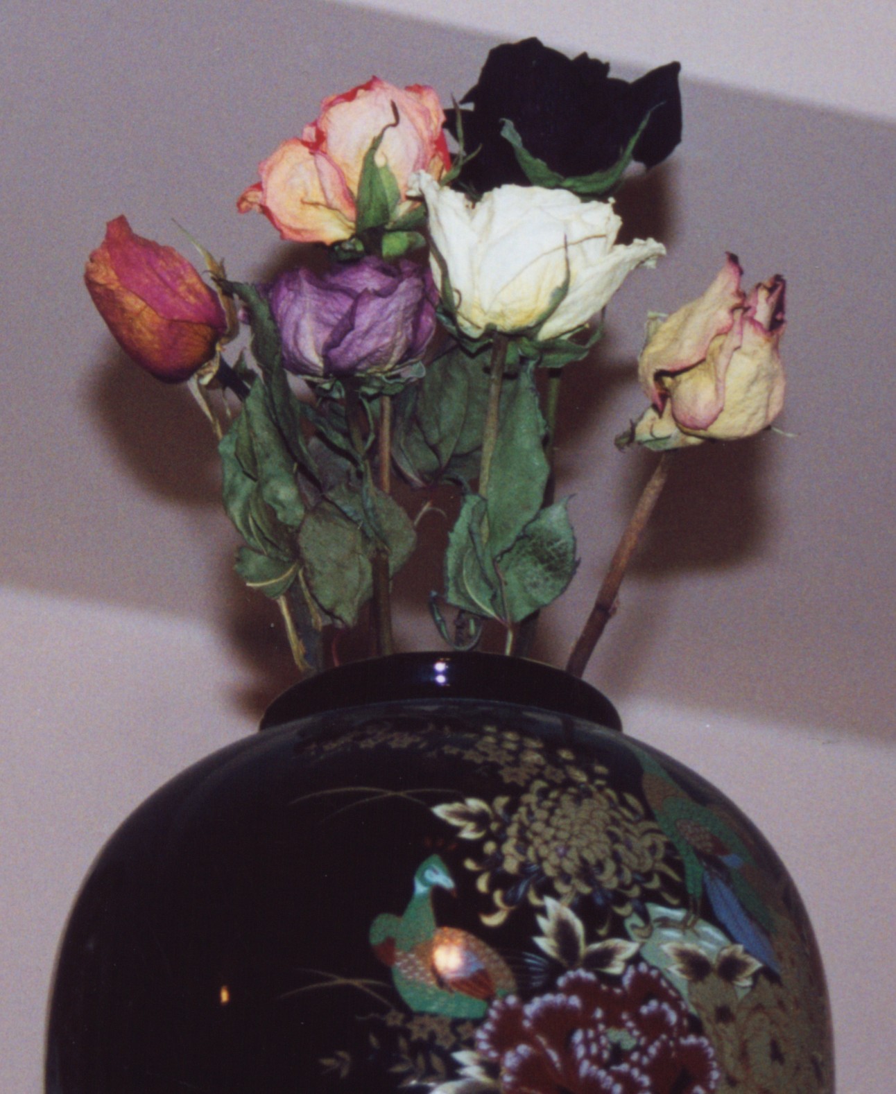 Fotografie von Tnerb1107 für DesignCrowd (Community Contests) | Design #9102385