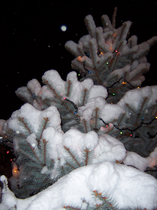 Photography by hephzibah for DesignCrowd (Community Contests) | Design #9101089