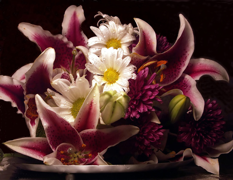 Photography by binkyat3 for DesignCrowd (Community Contests) | Design #9102372