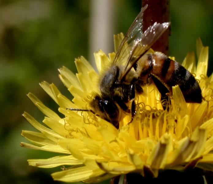 Photographie par rdchdwck pour DesignCrowd (Community Contests) | Design #9097553