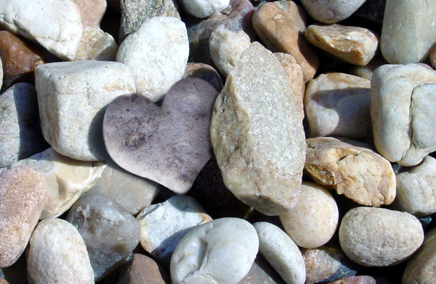 Photoshop Design by mettehaahr for DesignCrowd (Community Contests) | Design #9080258