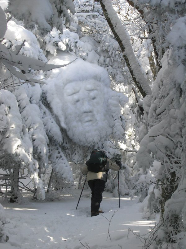 Photoshop Design by duragg for DesignCrowd (Community Contests) | Design #9080229