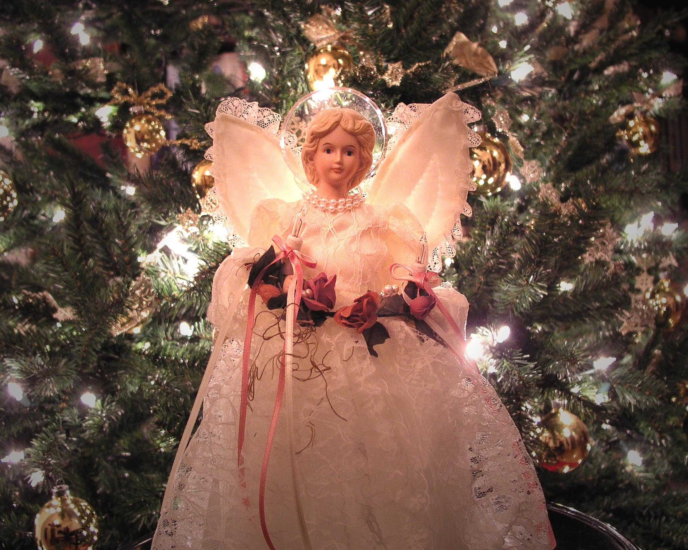 Photography by UPUPUP for DesignCrowd (Community Contests) | Design #9101109