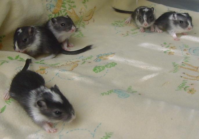 Photography by Ackley for DesignCrowd (Community Contests) | Design #9097617