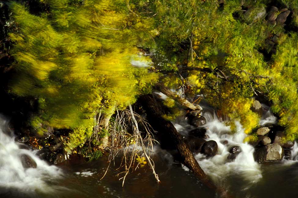 Photography by achecchin for DesignCrowd (Community Contests) | Design #9097609