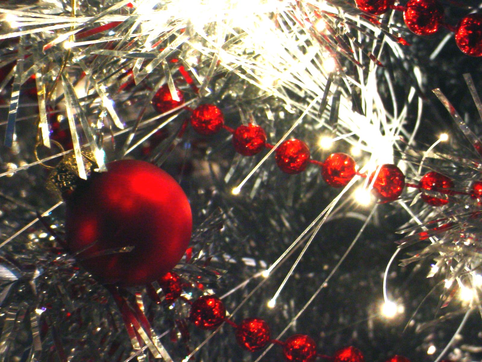 Photography by ottaia for DesignCrowd (Community Contests) | Design #9101156