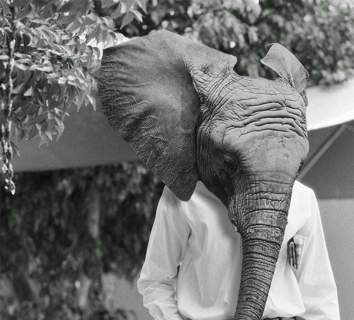 Photoshop-Design von echoburst für DesignCrowd (Community Contests) | Design #9101004