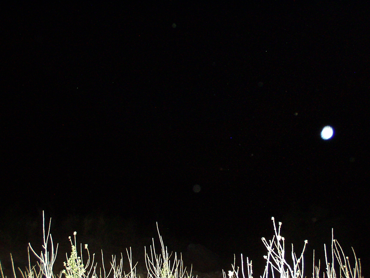 Photography by CheckMinus for DesignCrowd (Community Contests) | Design #9099159