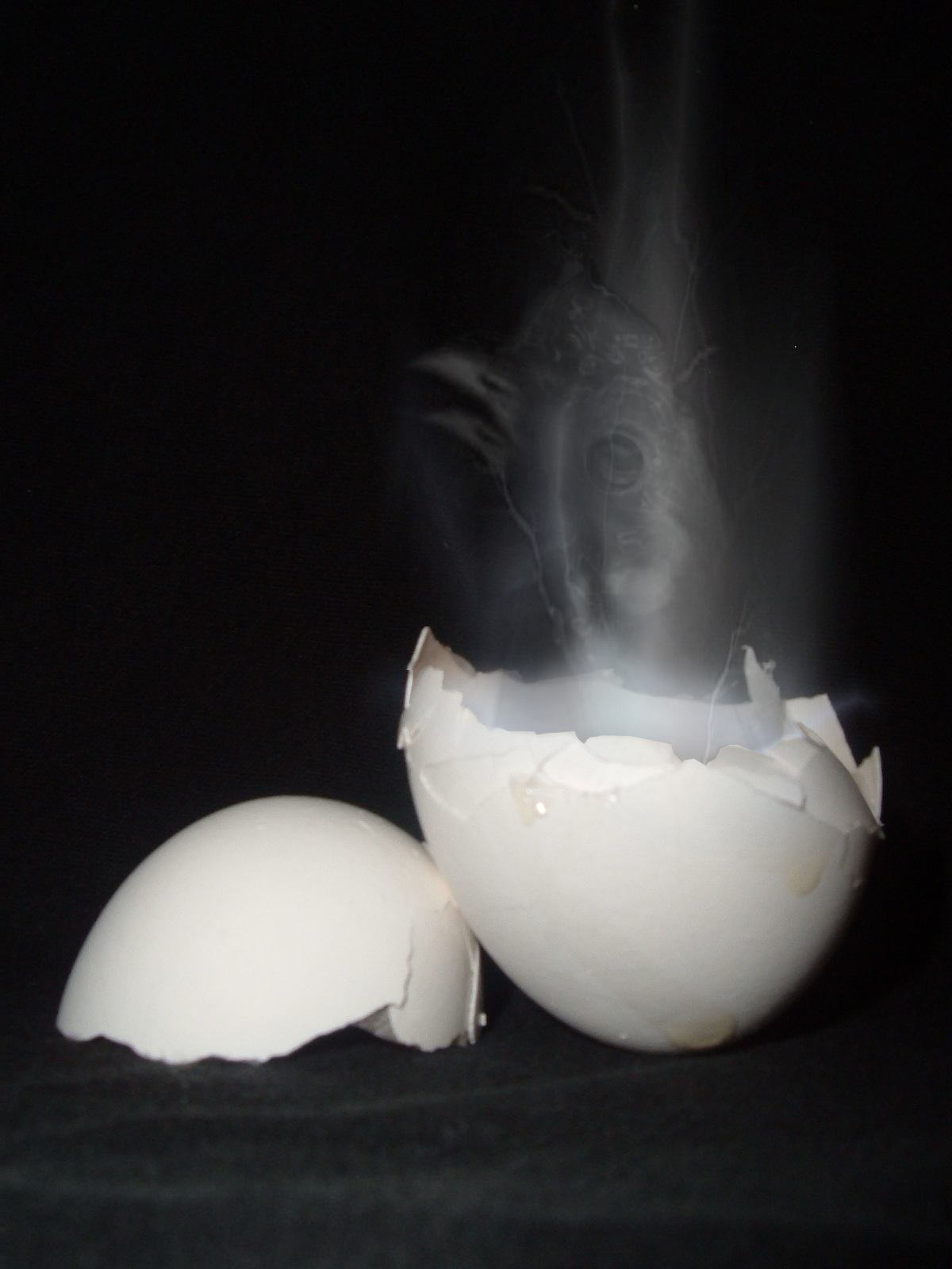 Diseño de Photoshop por Malicai para DesignCrowd (Community Contests) | Diseño #9101017