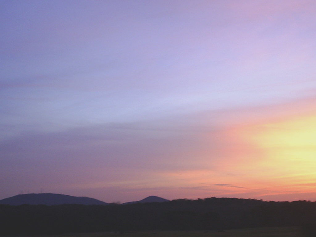 Photographie par cicisunflower pour DesignCrowd (Community Contests) | Design #9099154