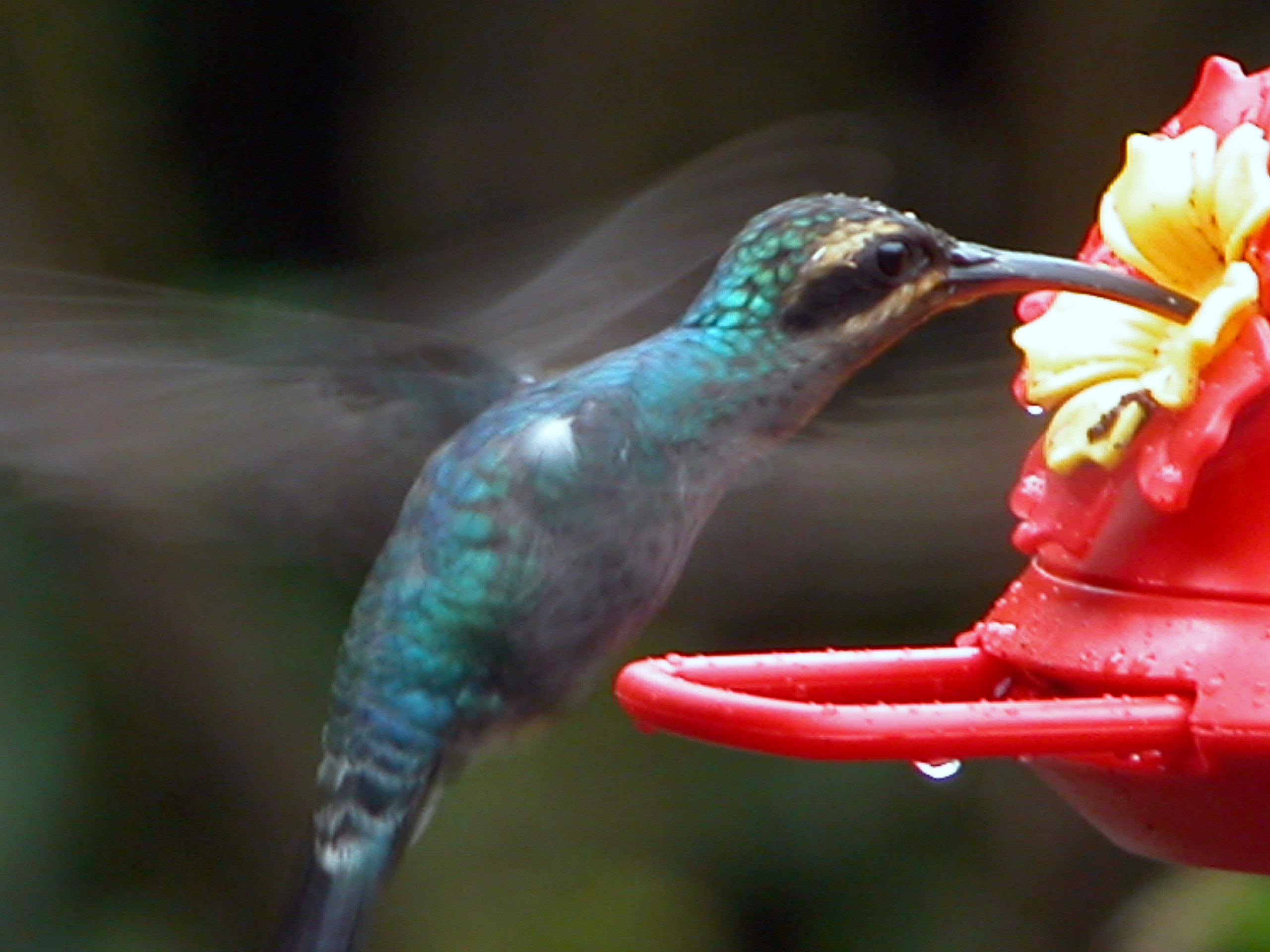Photography by MODU34 for DesignCrowd (Community Contests) | Design #9098594